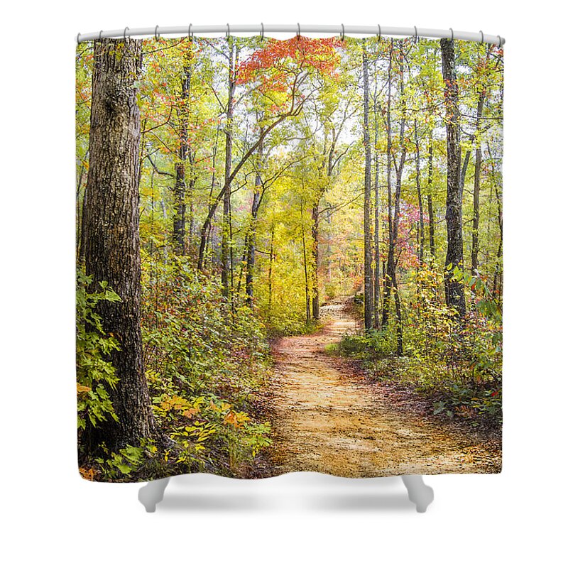 Appalachia Shower Curtain featuring the photograph Elfin Forest by Debra and Dave Vanderlaan