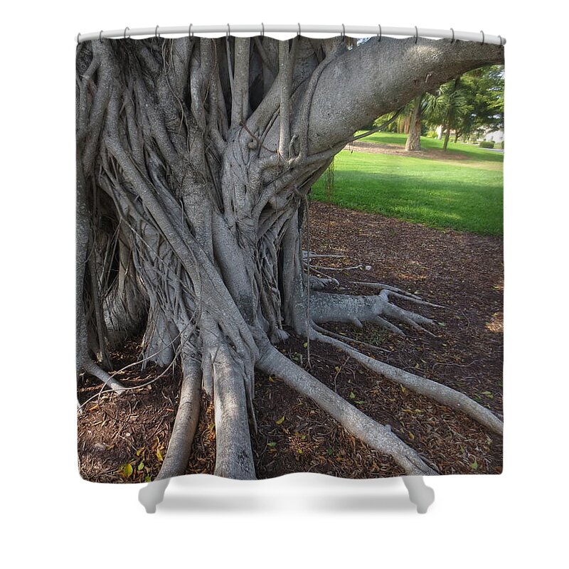  Shower Curtain featuring the photograph Embrace by Richard Laeton