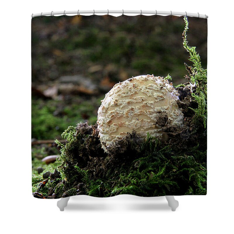Fungi Emerging Shower Curtain featuring the photograph Emergence by John Topman