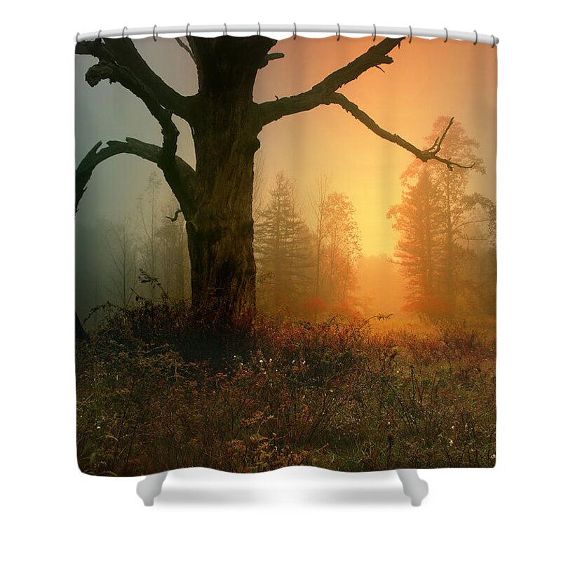 Landscape Shower Curtain featuring the photograph Emerging Hope by Rob Blair