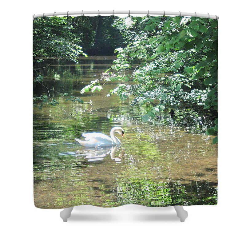 Swan Shower Curtain featuring the photograph Enchantment by Pema Hou