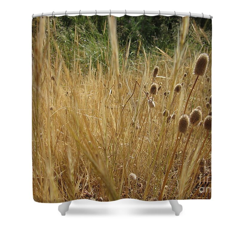 End Shower Curtain featuring the photograph End of the spring by Chani Demuijlder