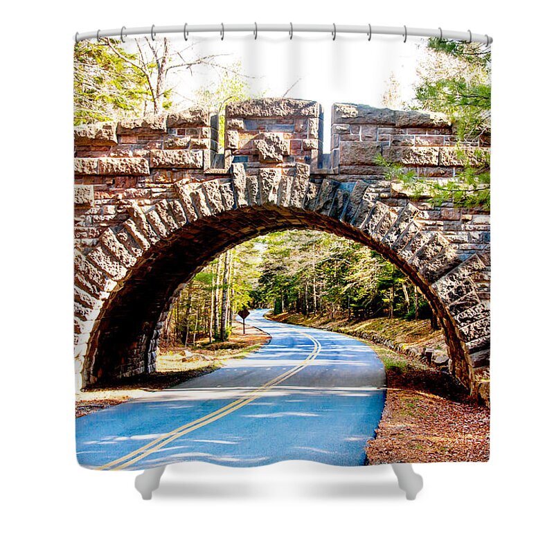 Mountains Shower Curtain featuring the photograph Entrance to Nature by Greg Fortier