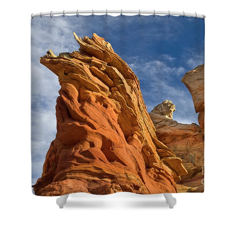 00559277 Shower Curtain featuring the photograph Eroded Sandstone Vermillion Cliffs by Yva Momatiuk John Eastcott