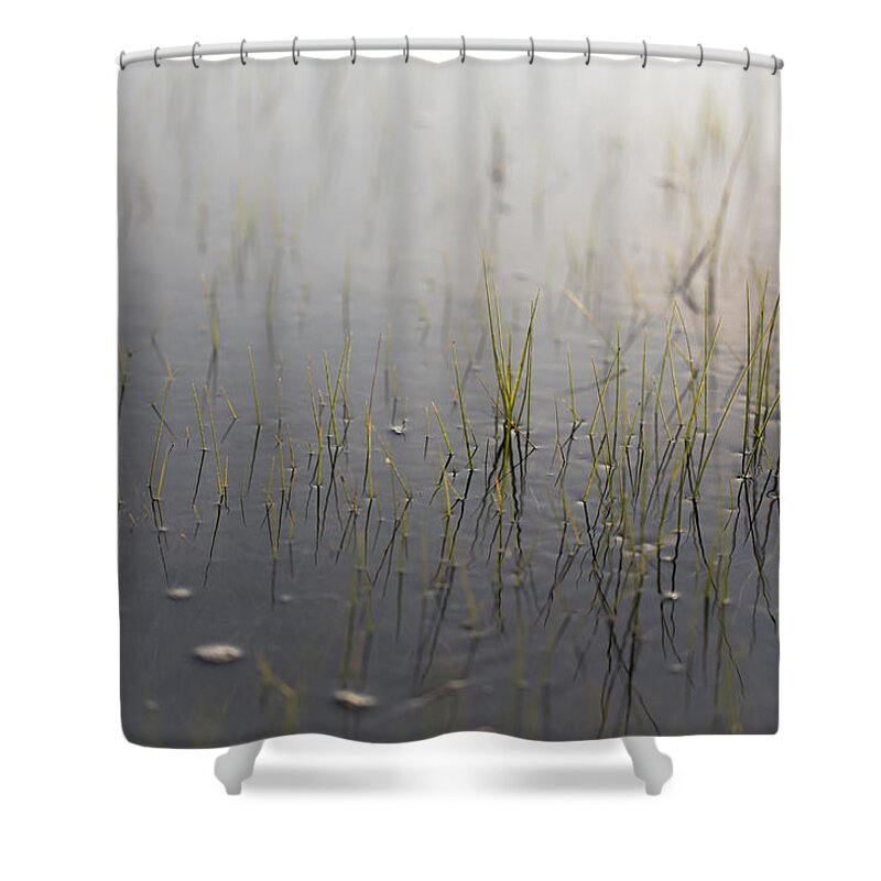 Andrew Pacheco Shower Curtain featuring the photograph Estuarine Ebb and Flow by Andrew Pacheco