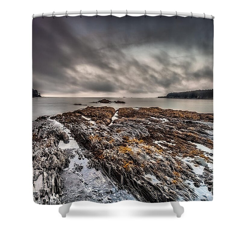 Nature Shower Curtain featuring the photograph Evening at Mill's Bay by Steven Reed