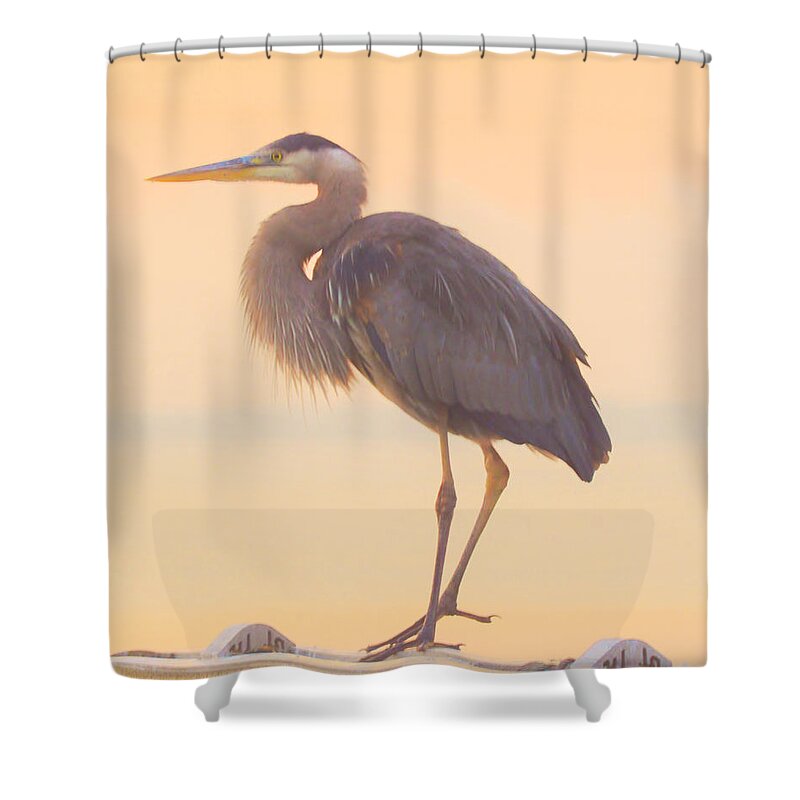 Beach Bum Pics Shower Curtain featuring the photograph Evening Heron - Colorful Pastel by Billy Beck