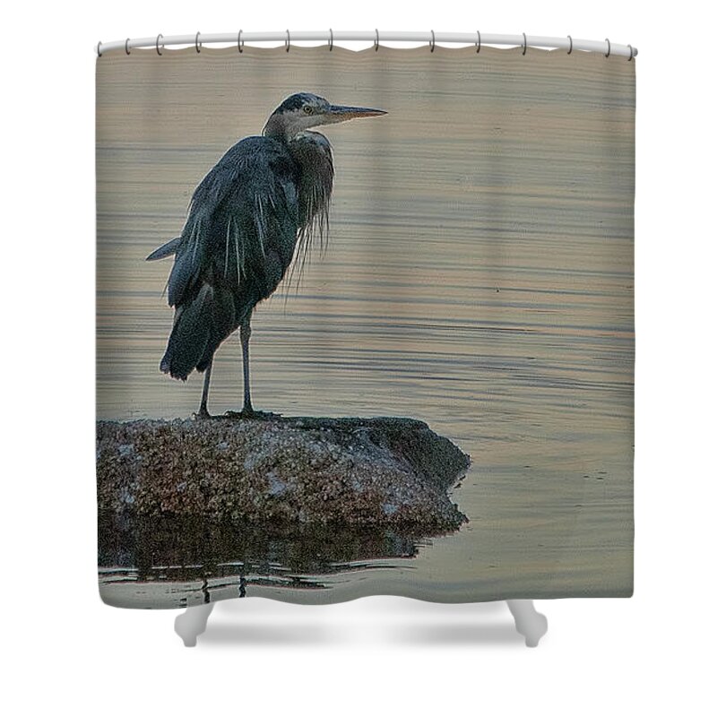Herron Shower Curtain featuring the photograph Evening Hunt by Ron Roberts