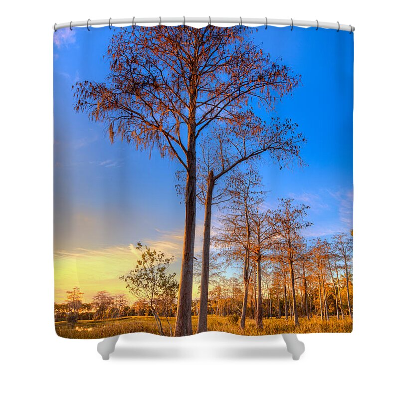 Clouds Shower Curtain featuring the photograph Everglades at Sunset by Debra and Dave Vanderlaan