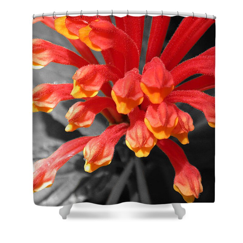 Selective Color Shower Curtain featuring the photograph Exotic Flower by Shane Bechler