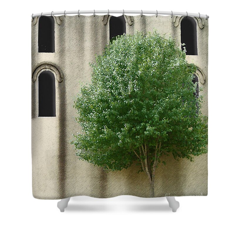Trees Shower Curtain featuring the photograph Eyebrows by Lee Owenby