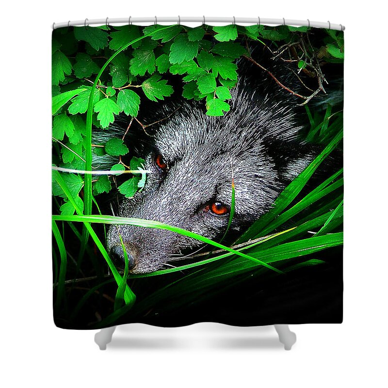 Eyes Shower Curtain featuring the photograph Eyes in the Bushes by Zinvolle Art
