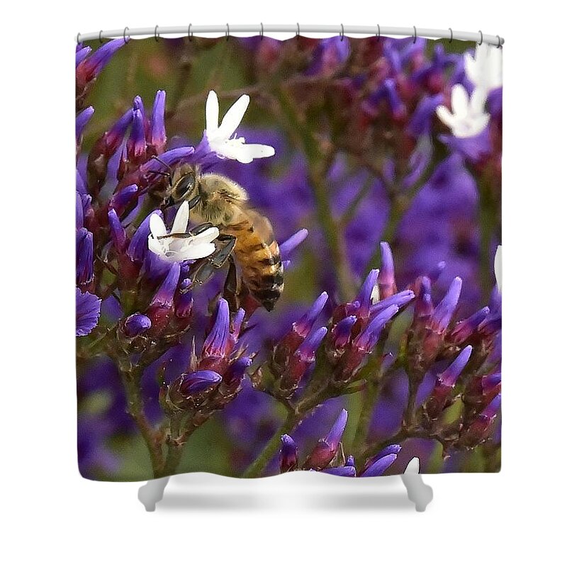Linda Brody Shower Curtain featuring the photograph Fabulous Bee II by Linda Brody