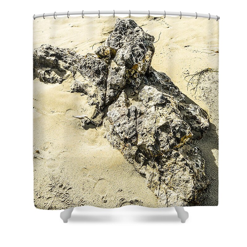: Penny Lisowski Shower Curtain featuring the photograph Faces In The Rock by Penny Lisowski
