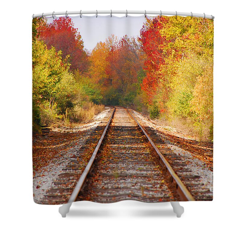 Railroad Tracks Shower Curtain featuring the photograph Fading Tracks by Mary Carol Story