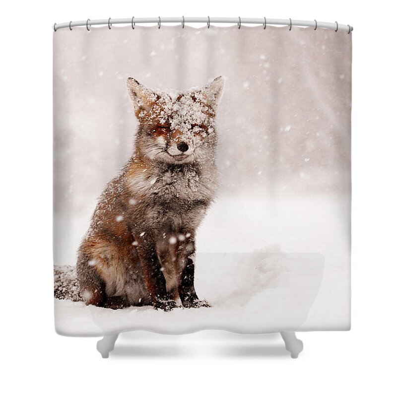 Fox Shower Curtain featuring the photograph Fairytale Fox _ Red Fox in a Snow Storm by Roeselien Raimond