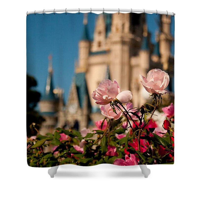 Disney Shower Curtain featuring the photograph Fairytale Garden by Kristia Adams