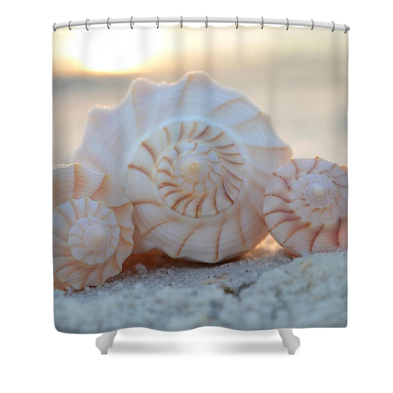 Seashell Shower Curtain featuring the photograph Faith. Hope. Love. by Melanie Moraga