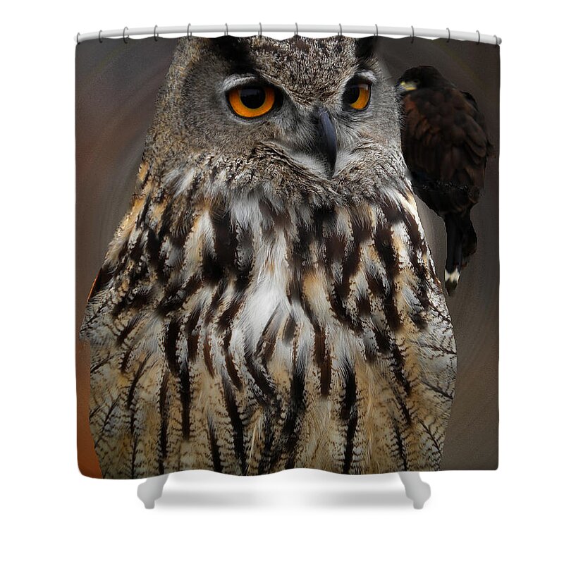 Colette Shower Curtain featuring the photograph Falco with Owl alba Spain by Colette V Hera Guggenheim