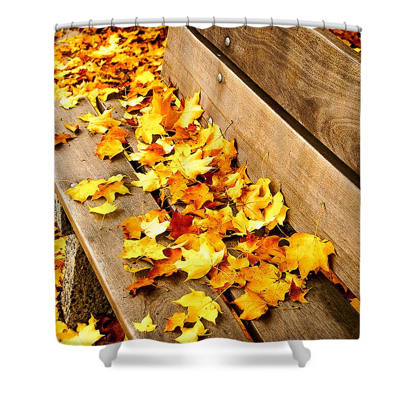 Fall Shower Curtain featuring the photograph Fall by Cassius Johnson