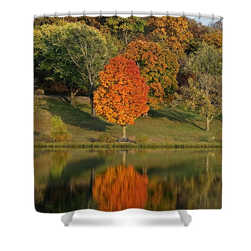 Fall Colors Shower Curtain featuring the photograph Fall Colors Reflection by Alan Hutchins