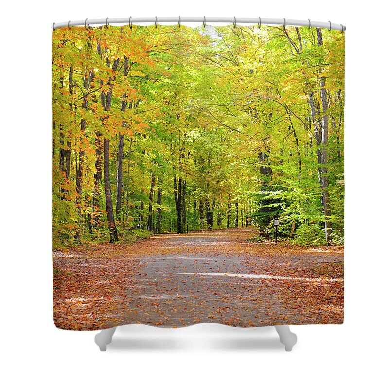 Scenics Shower Curtain featuring the photograph Fall Colosr In Hiawatha National Forest by Dennis Macdonald