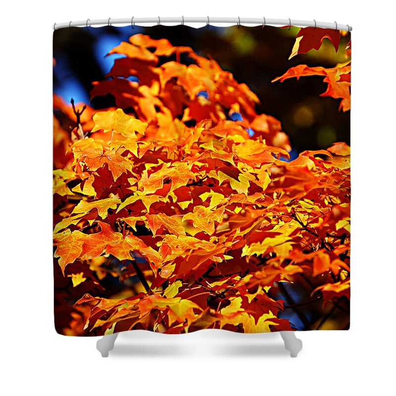 Autumn Shower Curtain featuring the photograph Fall Foliage Colors 16 by Metro DC Photography