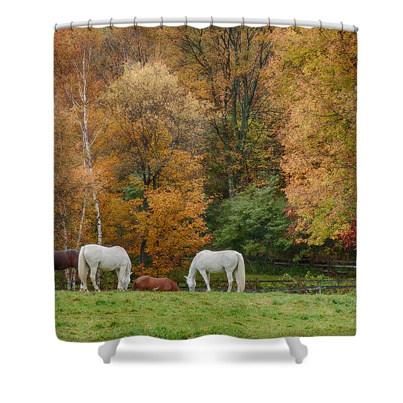 Autumn Foliage New England Shower Curtain featuring the photograph Fall foliage pasture by Jeff Folger