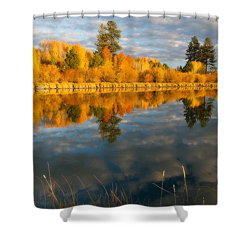 Fall Shower Curtain featuring the photograph Fall Fractal by Kevin Desrosiers