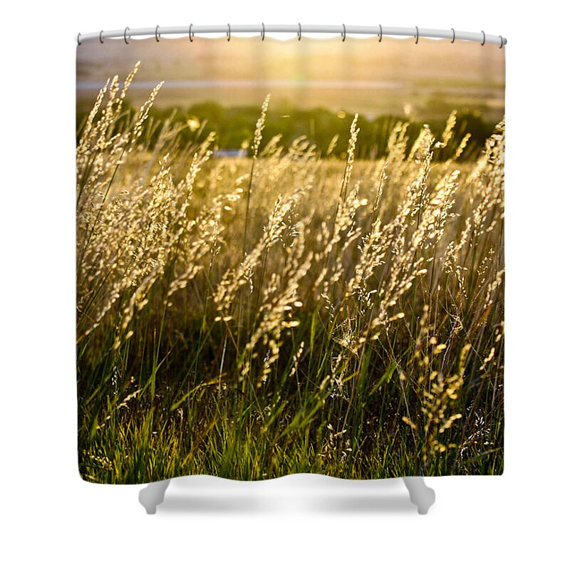Fall Grass Shower Curtain featuring the photograph Fall Glow by Juli Ellen