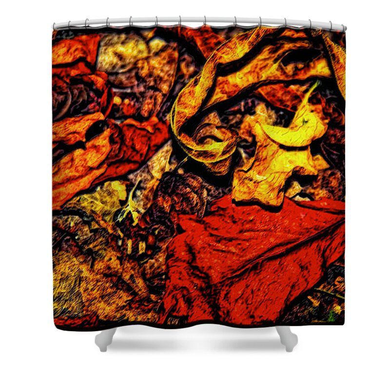 Fall Shower Curtain featuring the photograph Fall Into Summer by Lucy VanSwearingen