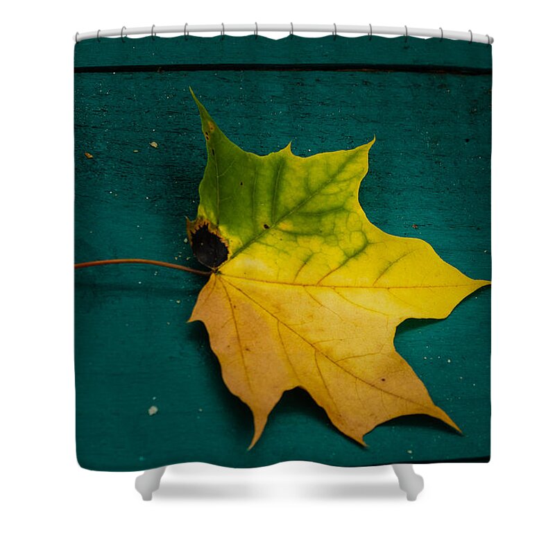 Conway Shower Curtain featuring the photograph Fall leaf by SAURAVphoto Online Store