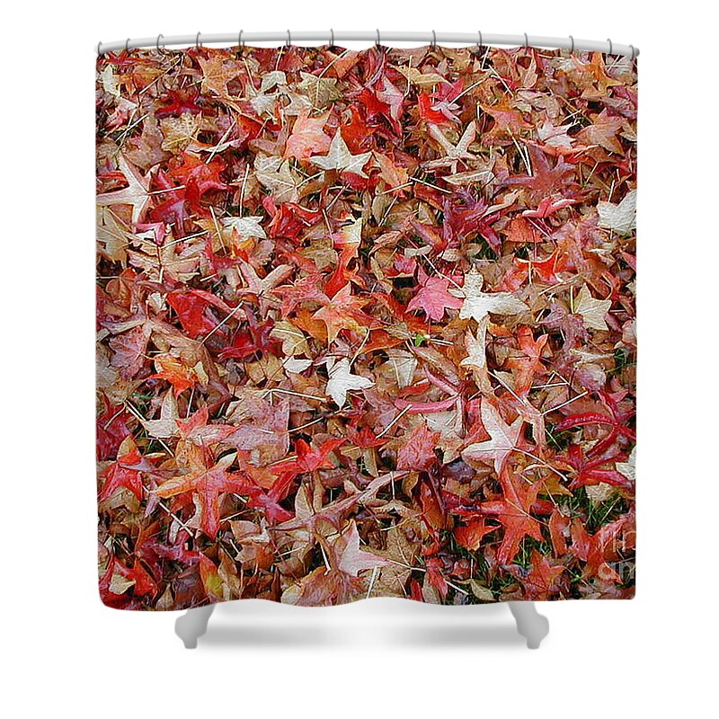 Leaves Shower Curtain featuring the photograph Fall Leaves by Bev Conover