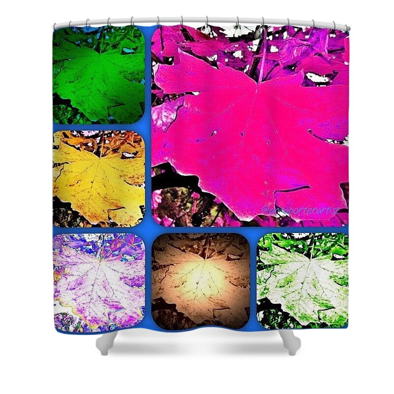 Art Shower Curtain featuring the photograph Fall Leaves Collage Brighter by Anna Porter