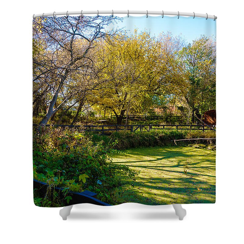 Fall Shower Curtain featuring the photograph Fall Morning by Ed Peterson