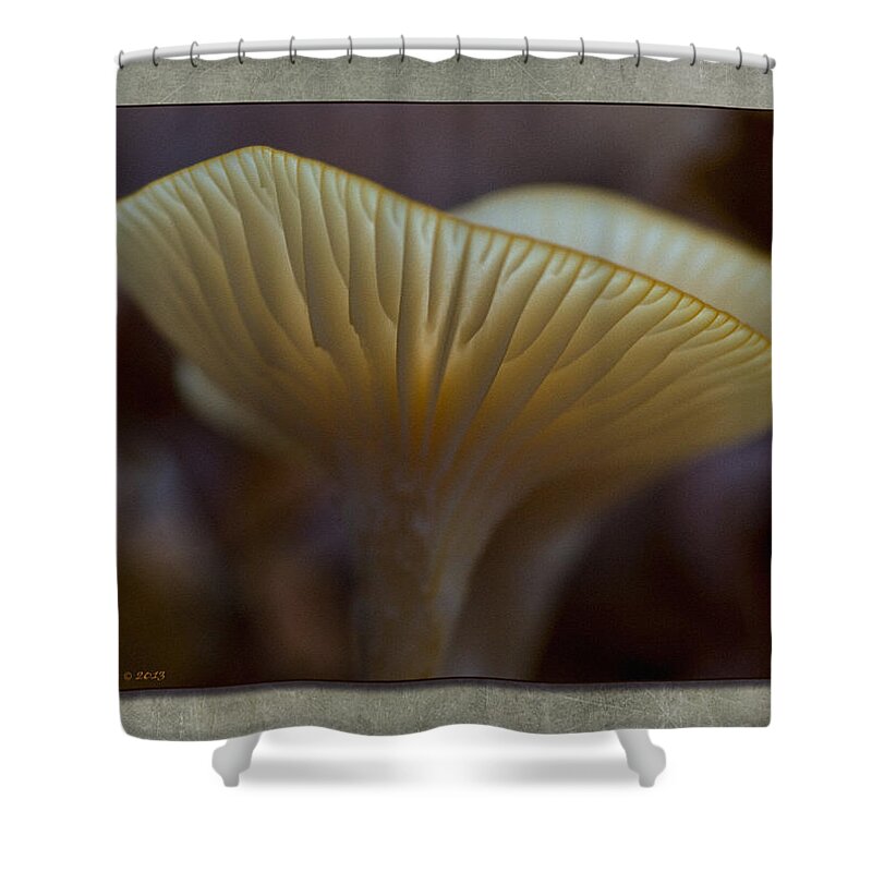 Mushroom Shower Curtain featuring the photograph Fall Mushroom 7 by WB Johnston