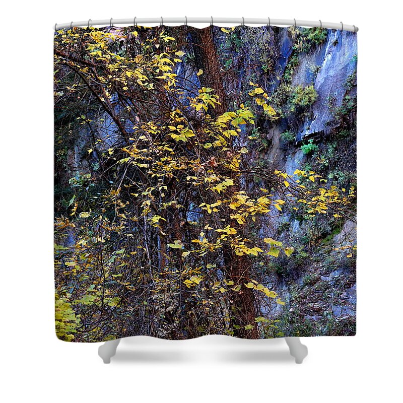 Leaves Shower Curtain featuring the photograph Fall on the West Fork Trail by Ruth Jolly