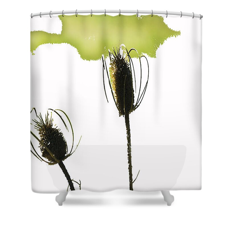 Botanical Shower Curtain featuring the photograph Fall on White by Rich Collins