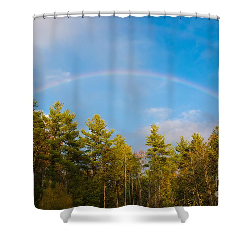 Trees Shower Curtain featuring the photograph Fall Rainbow by Cheryl Baxter