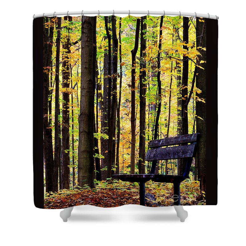 Leaves Shower Curtain featuring the photograph Fall Woods in Michigan by Michael Arend