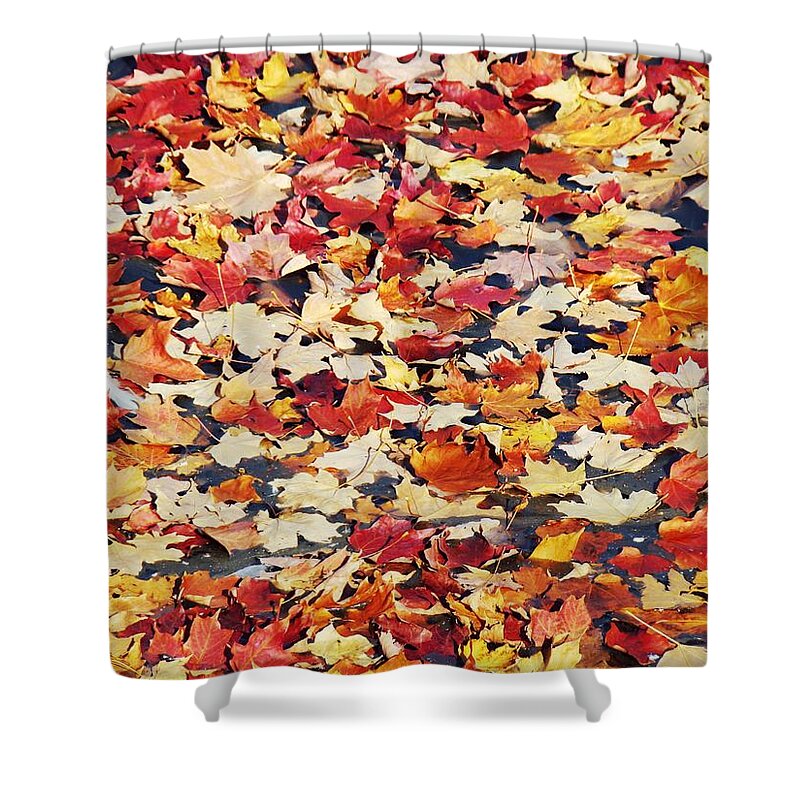 Leaves Shower Curtain featuring the photograph Fallen Leaves by Zinvolle Art