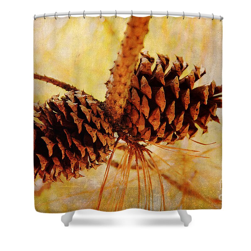 Pinecones Shower Curtain featuring the photograph Fall's Golden Light by Trina Ansel