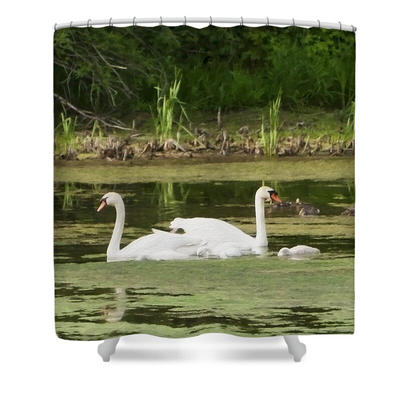Swan Shower Curtain featuring the photograph Family is Everything by Donna Doherty