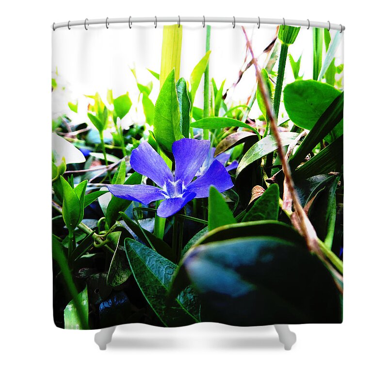 Purple Flower Shower Curtain featuring the photograph Fantasy Garden by Shawna Rowe
