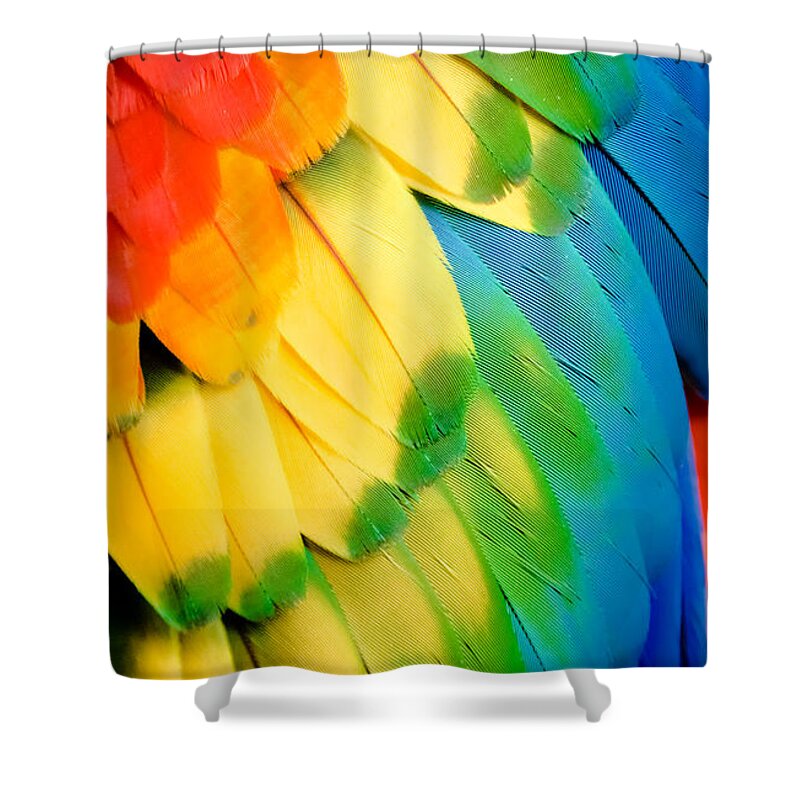 Feathers Shower Curtain featuring the photograph Feather Rainbow by Karen Wiles