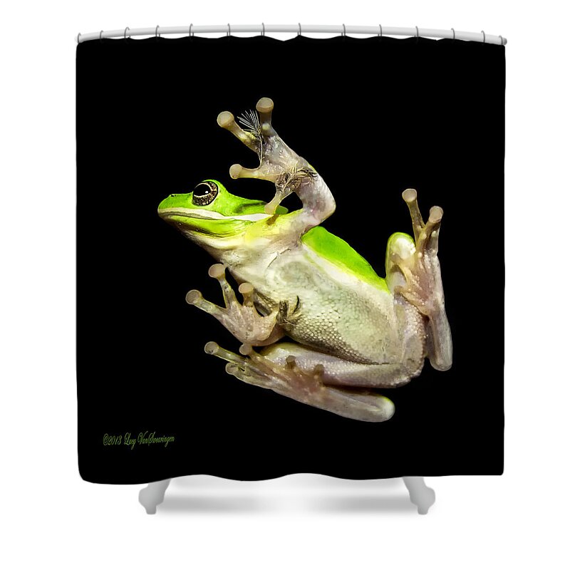 Feather Shower Curtain featuring the photograph Feathered Frog by Lucy VanSwearingen