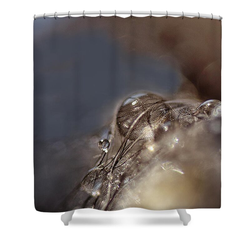 Water Drops Shower Curtain featuring the photograph Feathers and Pearls by Sue Capuano