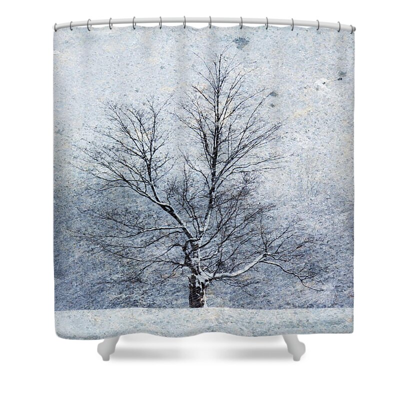 February Shower Curtain featuring the photograph February Blizzard by Marina Kojukhova
