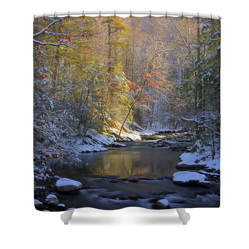 Winter Stream Shower Curtain featuring the photograph February In The Smokies by Michael Eingle