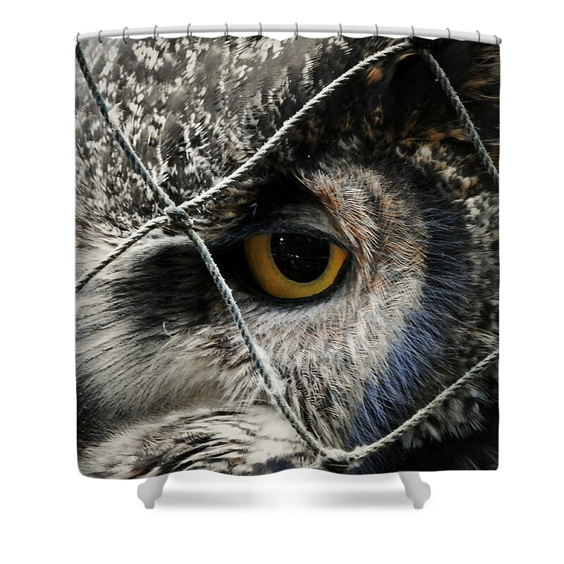Great Horned Owl Shower Curtain featuring the photograph Feeling Blue by Zinvolle Art